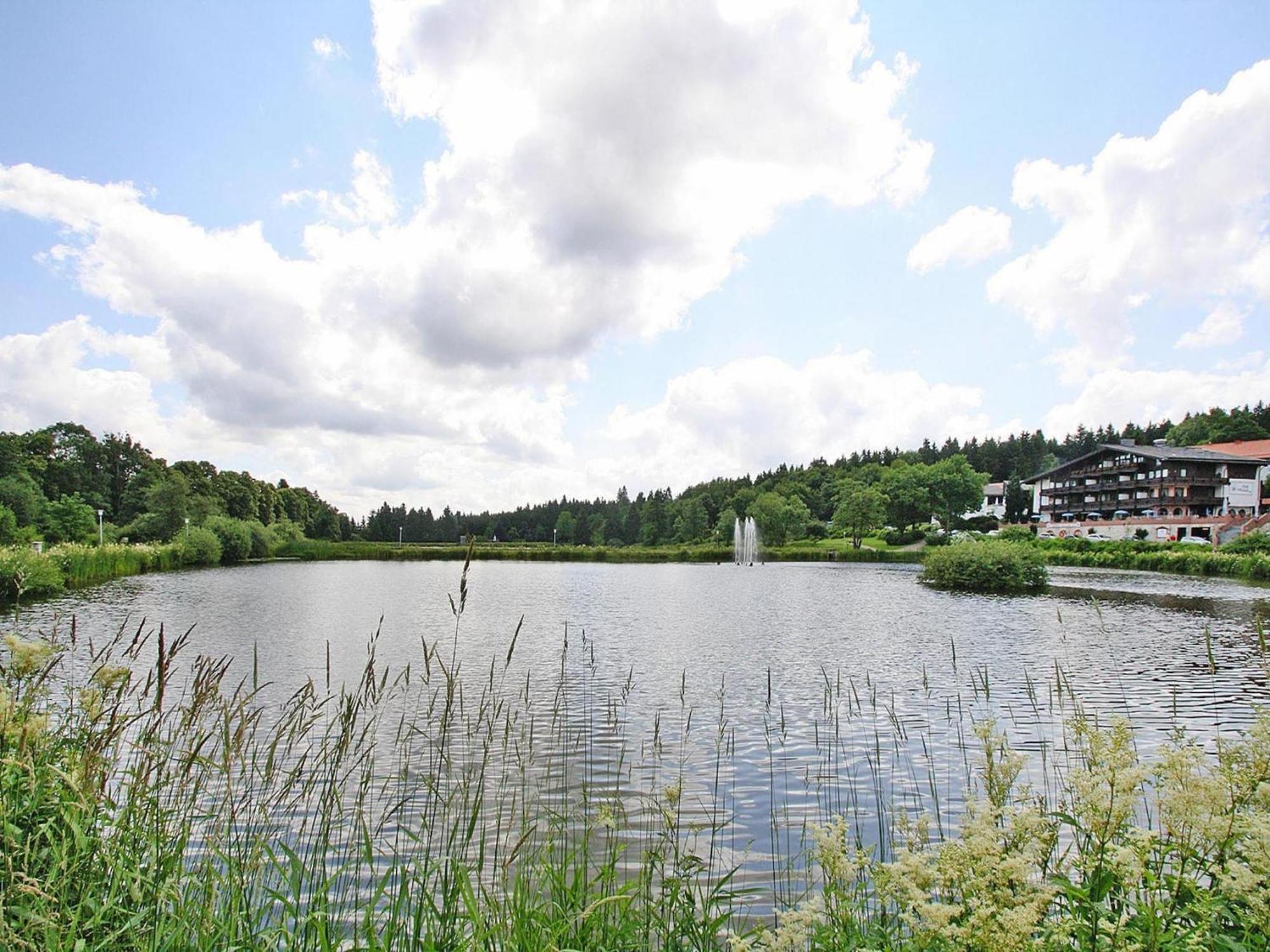 Ferienwohnung In Hahnenklee Гослар Екстериор снимка